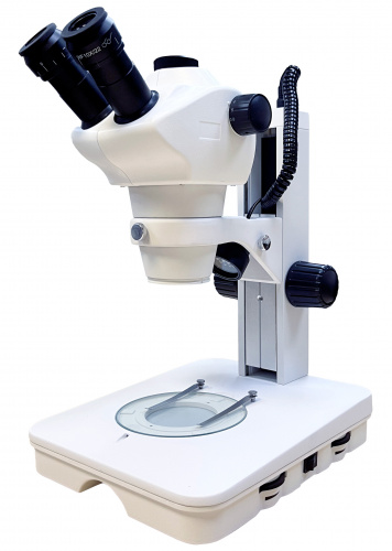 8d26ebea-cf36-11ef-9d2e-000c29e1040d
